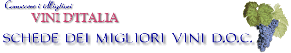 schede dei migliori vini d'italia
