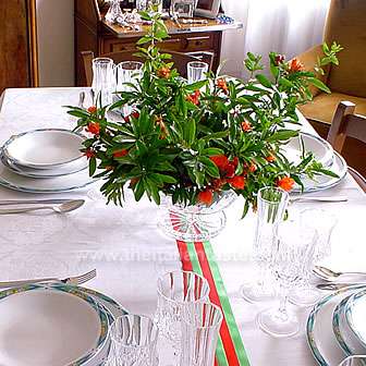 Centrotavola con fiori di melograno freschi