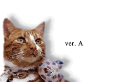 invitation card for birthday and anniversary party with a nice cat
