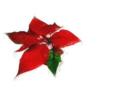 invitation and greeting cards for Christmas