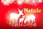 reindeer on red background