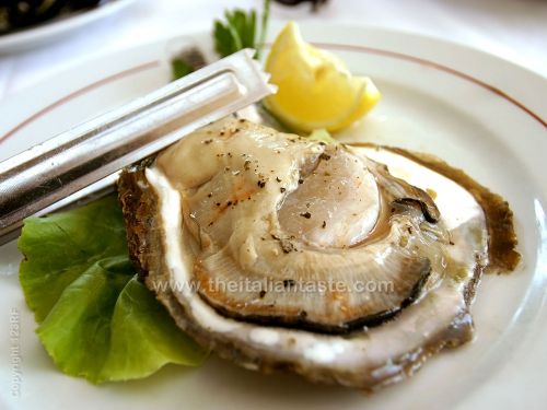 Raw oyster